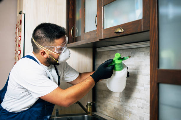 Pest Control Cost in Charles Town, WV