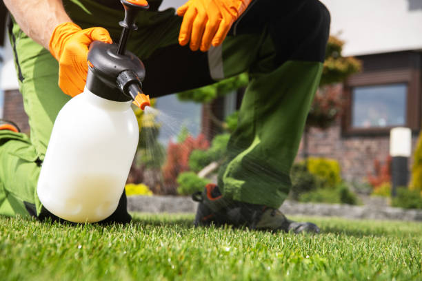 Best Insect Control  in Charles Town, WV